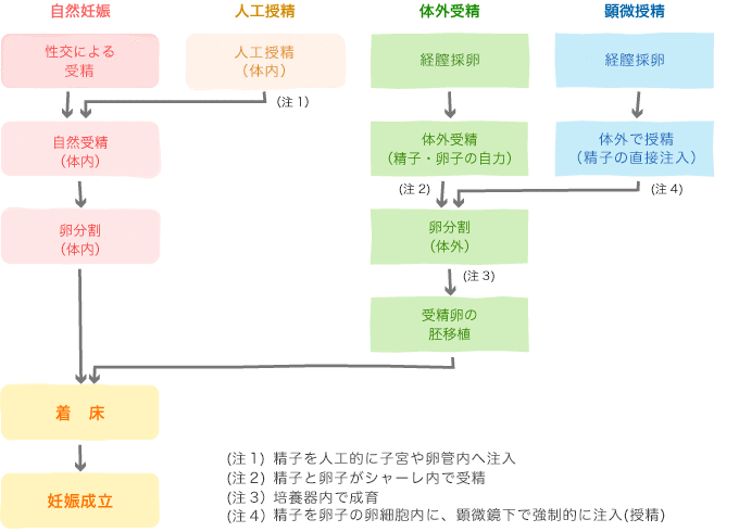過程