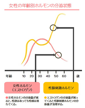 女性の年齢別ホルモンの分泌状態