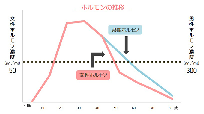 ホルモンの推移