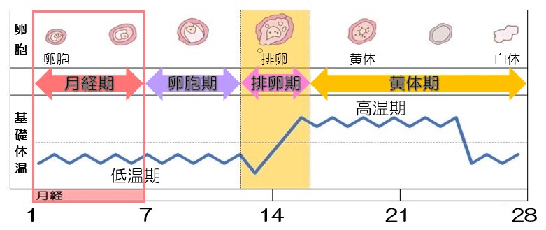 検査時期