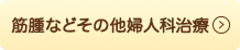 筋腫などその他婦人科治療